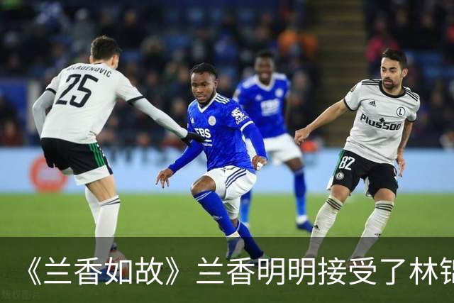 《兰香如故》兰香明明接受了林锦岐，为什么还要过两年，才同意圆房