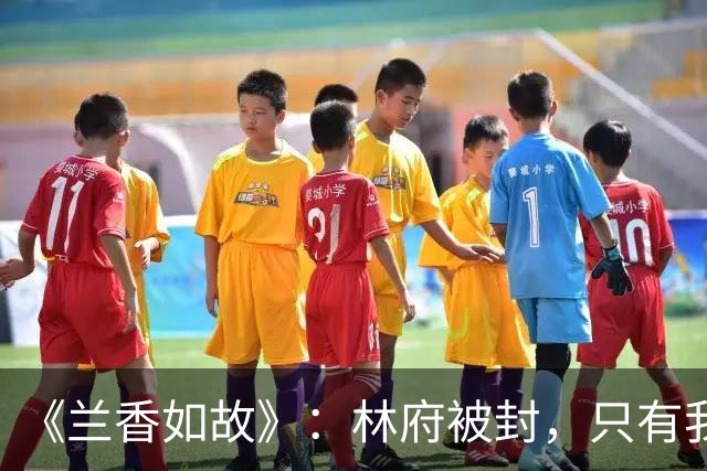 《兰香如故》：林府被封，只有我发现了这个大bug吗？