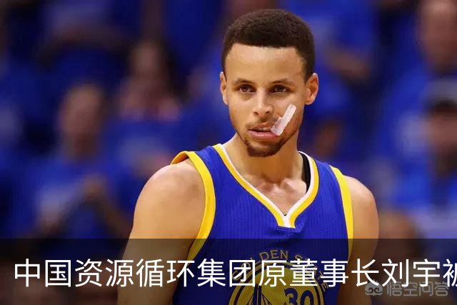 中国资源循环集团原董事长刘宇被“双开”