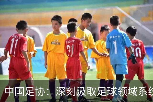 中国足协：深刻汲取足球领域系统性、塌方式腐败惨痛教训
