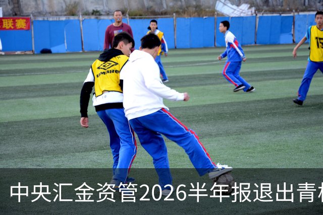 中央汇金资管2026半年报退出青松建化前十大股东名单！