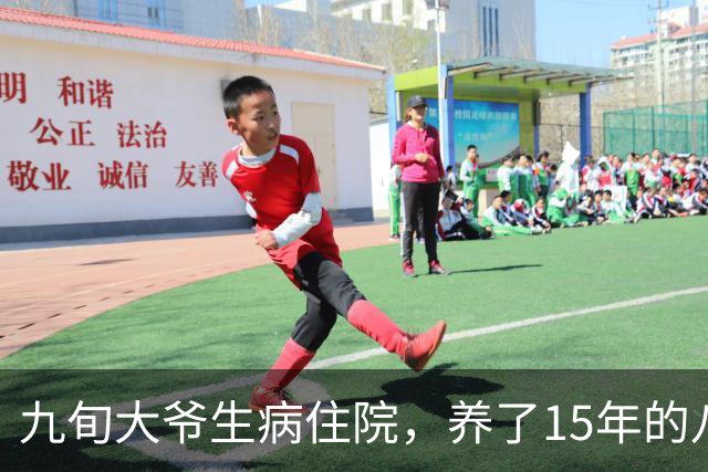 九旬大爷生病住院，养了15年的八哥飞来探望，连续3天后众人懵了
