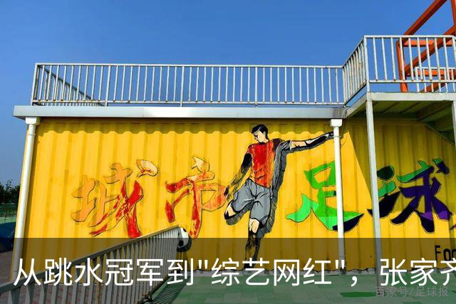从跳水冠军到"综艺网红"，张家齐的下半场，为什么看得人这么拧巴