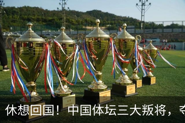 休想回国！中国体坛三大叛将，夺冠不认华夏身份，下场大快人心