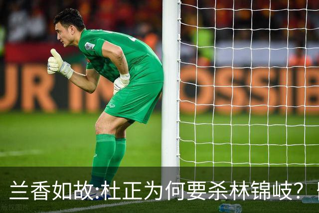 兰香如故:杜正为何要杀林锦岐？昏迷中的那句“翠雀林家死了吗”什么意思