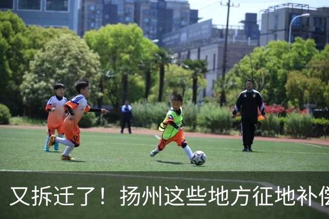 又拆迁了！扬州这些地方征地补偿方案公布！