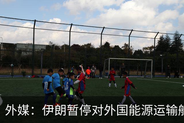 外媒：伊朗暂停对外国能源运输船舶征收运费附加费