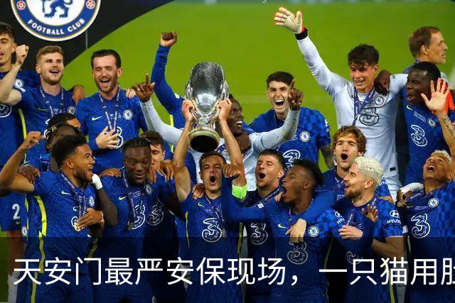 天安门最严安保现场，一只猫用肚皮盖章认证了国泰民安