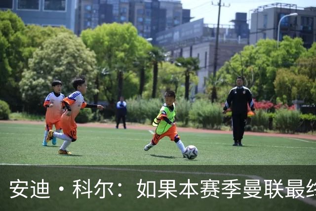 安迪·科尔：如果本赛季曼联最终能排英超前六，就称得上非常成功