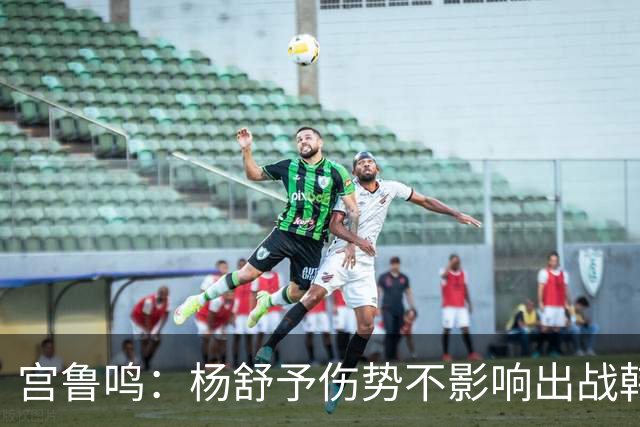 宫鲁鸣：杨舒予伤势不影响出战韩国 开局慢热是大问题
