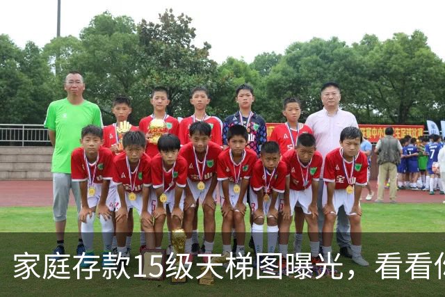 家庭存款15级天梯图曝光，看看你的家庭处在第几层？