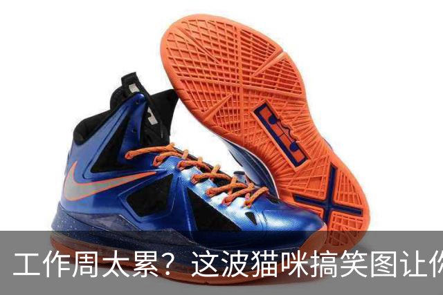 工作周太累？这波猫咪搞笑图让你一根手指就能解压