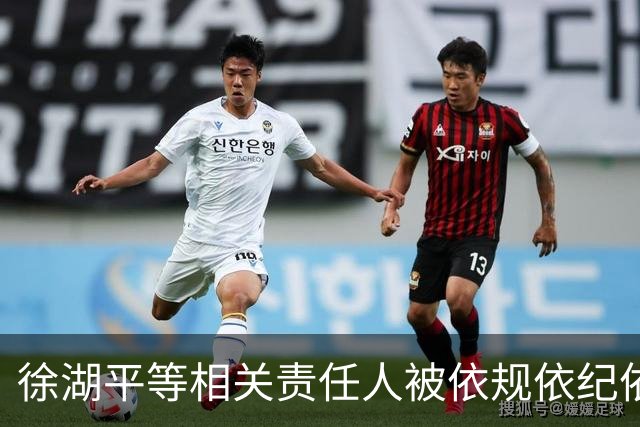 徐湖平等相关责任人被依规依纪依法处理
