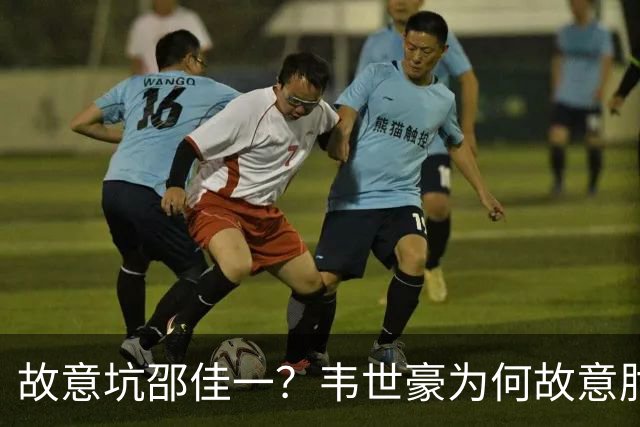 故意坑邵佳一？韦世豪为何故意肘击？谁注意7个名记的表态