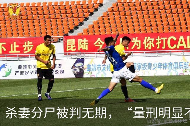 杀妻分尸被判无期，“量刑明显不当”
