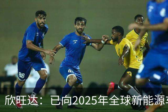 欣旺达：已向2025年全球新能源车厂出货量前十名中的八家客户供应动力类电池