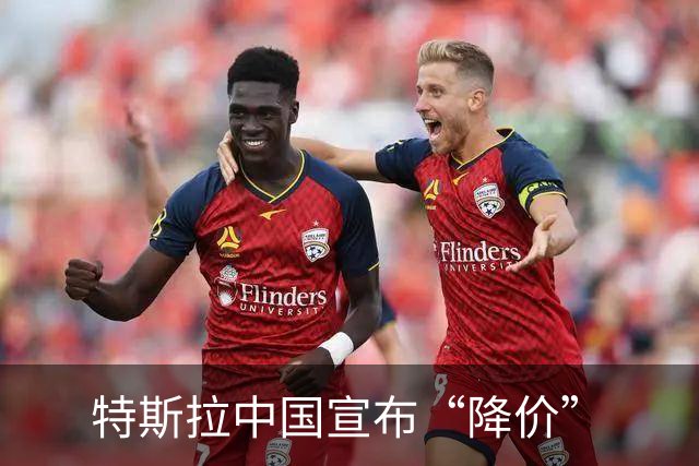 特斯拉中国宣布“降价”