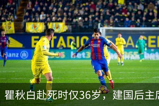 瞿秋白赴死时仅36岁，建国后主席为何说以后应少纪念他？