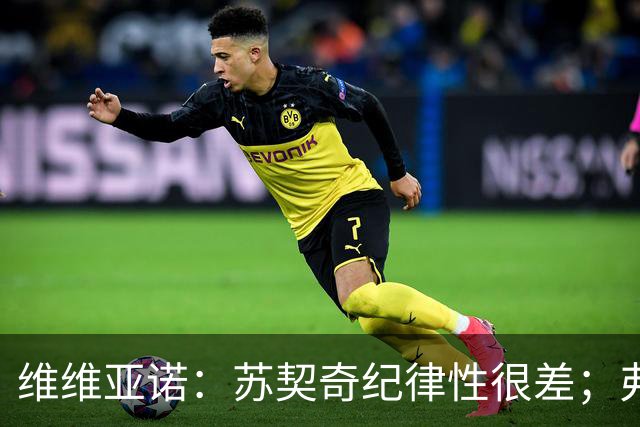 维维亚诺：苏契奇纪律性很差；弗拉泰西和国米几乎不搭