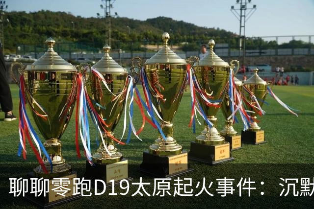 聊聊零跑D19太原起火事件：沉默比事故更消耗口碑
