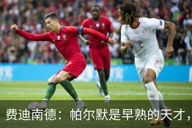 费迪南德：帕尔默是早熟的天才，英格兰任何名单都不应该少了他