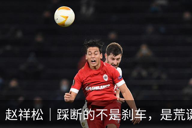 赵祥松｜踩断的不是刹车，是荒诞的盛世