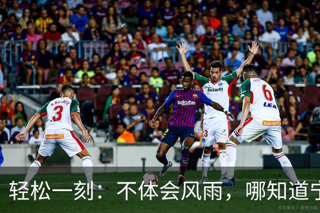 轻松一刻：不体会风雨，哪知道宁静？