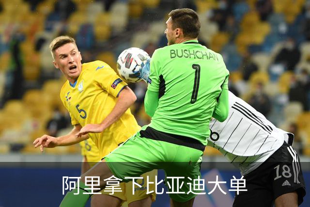 阿里拿下比亚迪大单