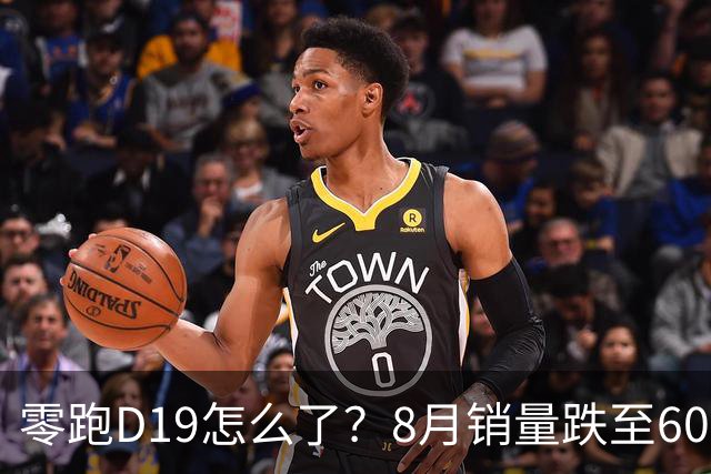 零跑D19怎么了？8月销量跌至6034台，环比下滑39.9%
