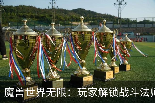 魔兽世界无限：玩家解锁战斗法师，一刀3100伤害，需要找齐9本书