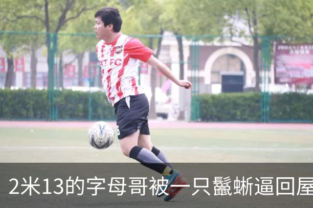 2米13的字母哥被一只鬣蜥逼回屋：你出去，我害怕