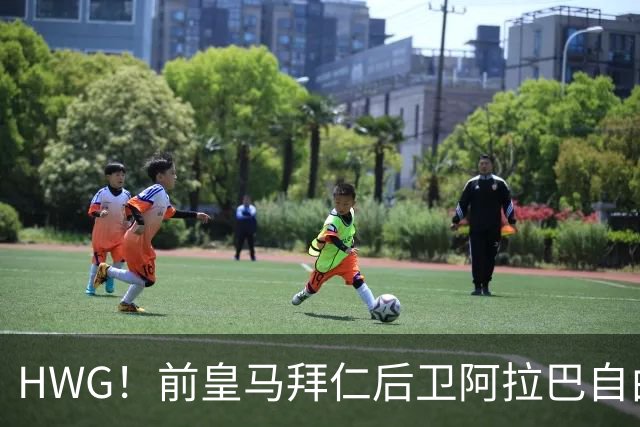HWG！前皇马拜仁后卫阿拉巴自由身加盟意甲乌迪内斯