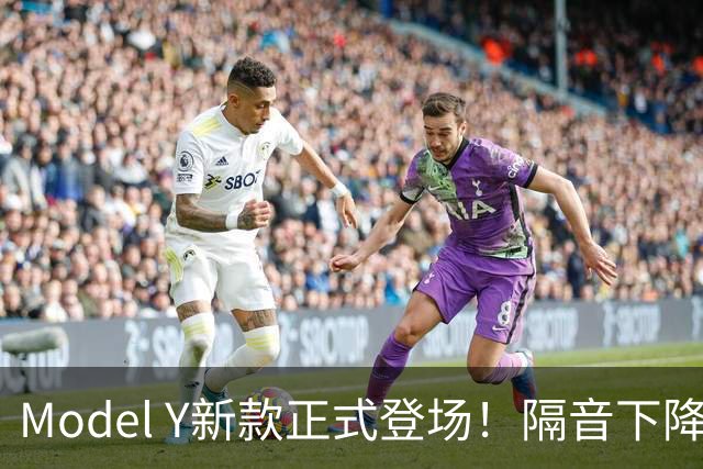 Model Y新款正式登场！隔音下降22%，该抄底老款还是等新车？